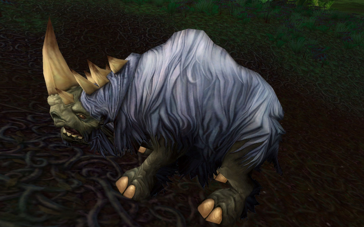 Not my favorite model.