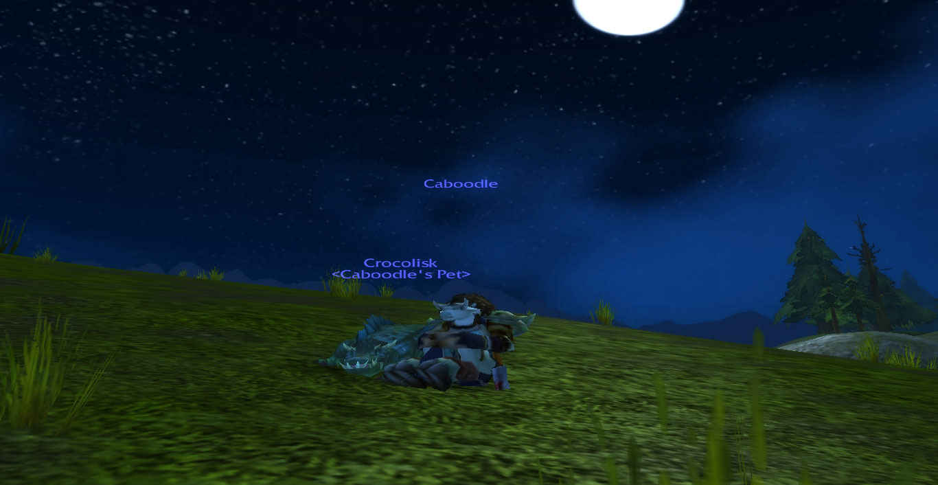 Ten seconds after I took this we got mobbed by a patting crocolisk.