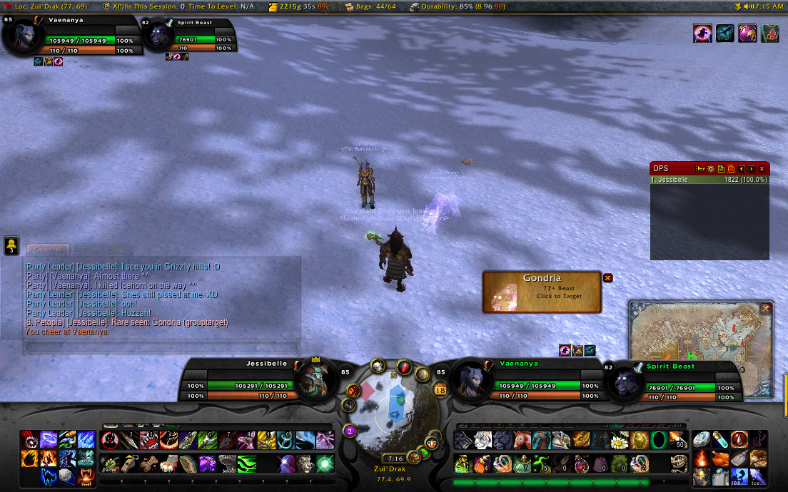 Gondria rehomed