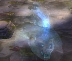 AquindSpiritWalk.jpg