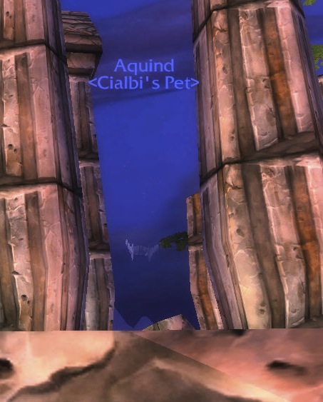 AquindCamoSmile.jpg
