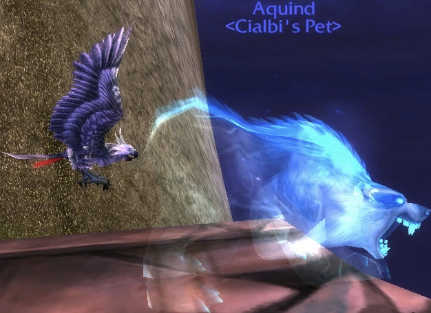 AquindNip.jpg