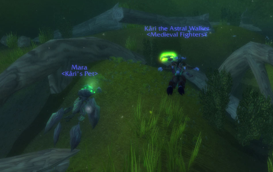 Swimming in Stormwind.