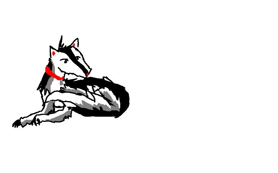 Wolf.
