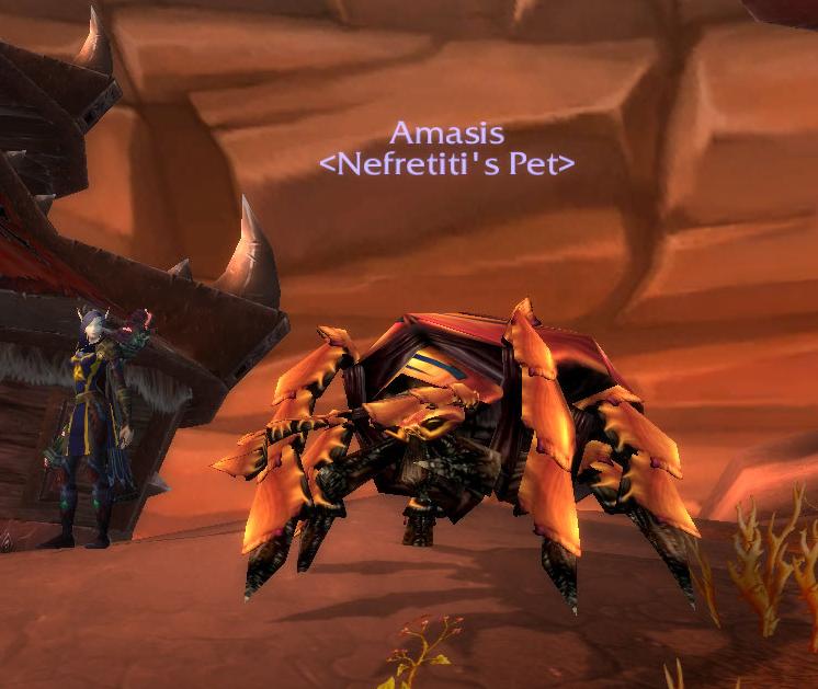 Amasis.JPG