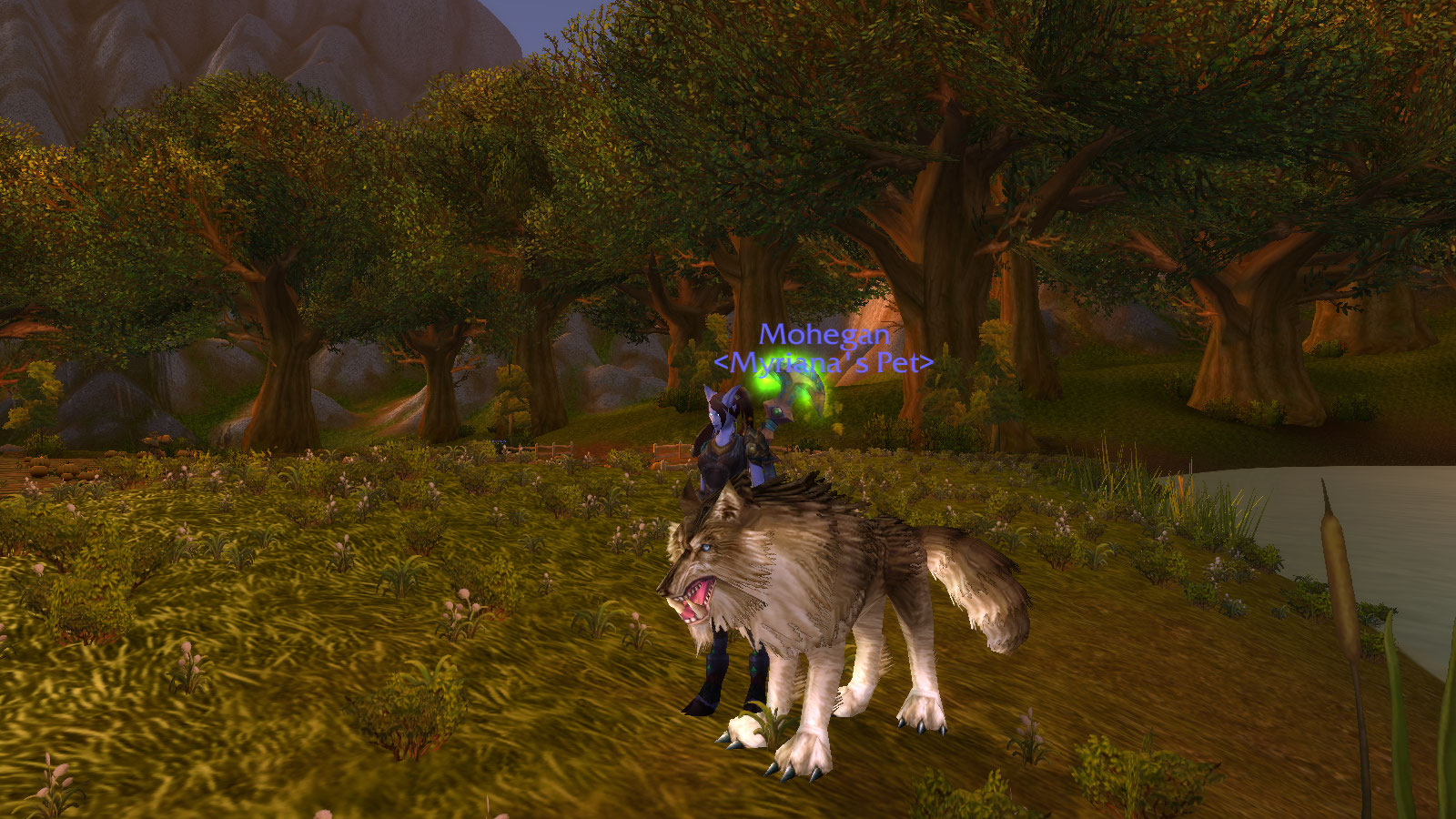WoWScrnShot_030911_204715.jpg