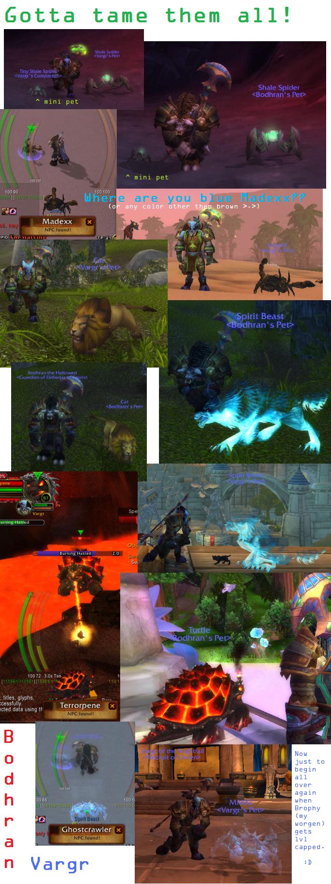 got them all.jpg