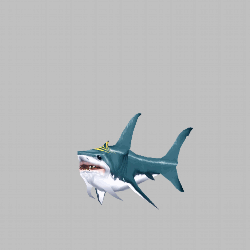 animation.gif