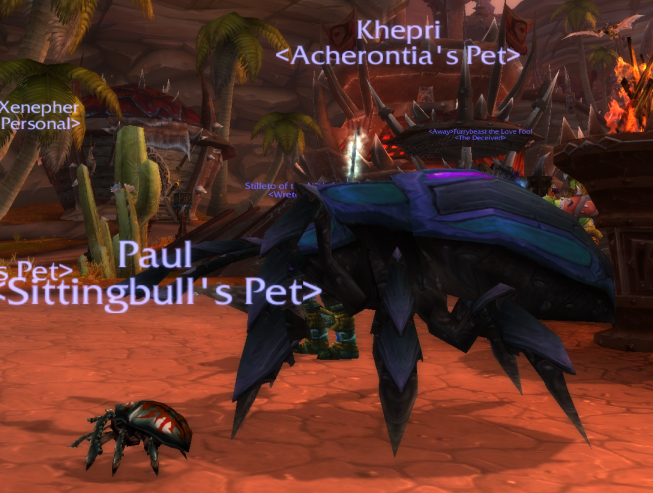 Beetles4.png