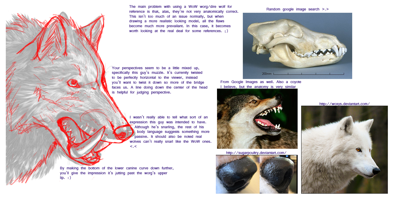 Dire Wolf Redline notes.jpg