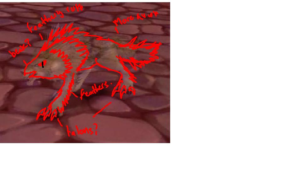 birddog.JPG