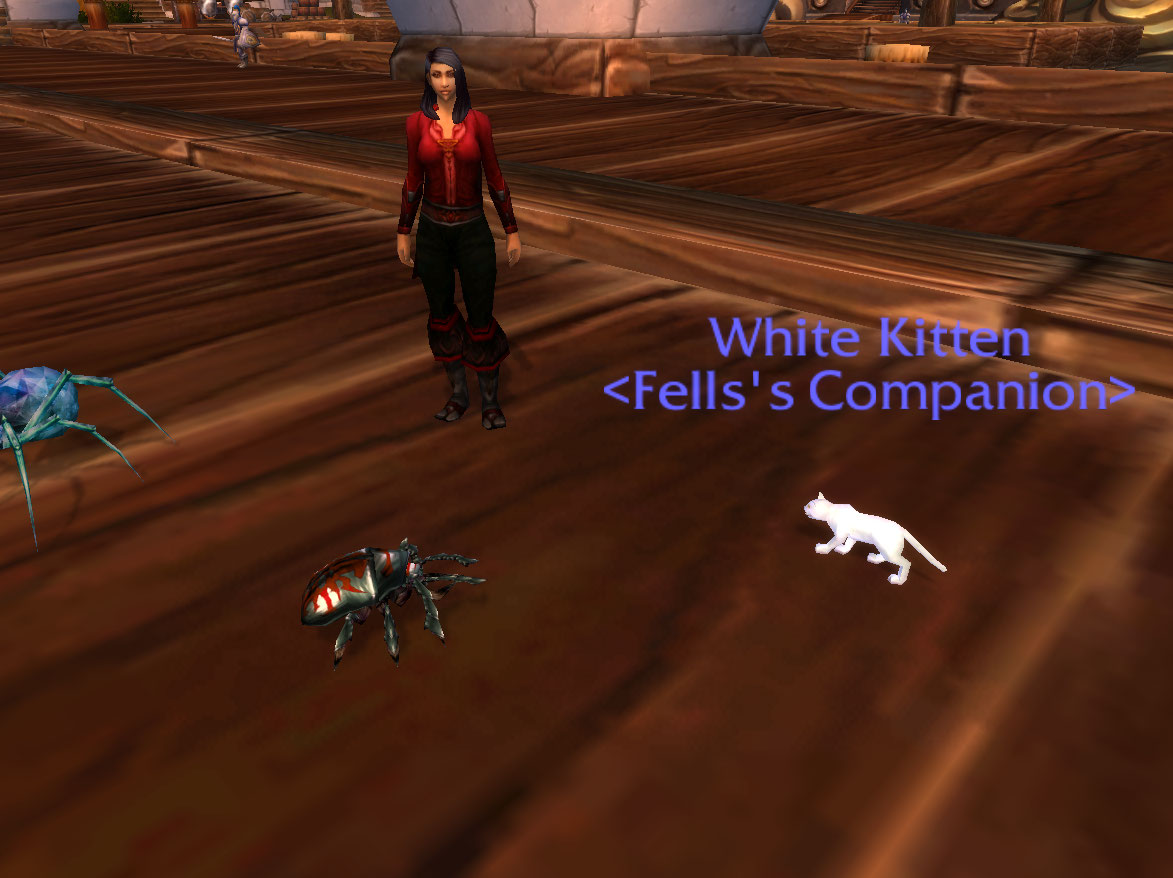 Thor and Fells cat.jpg