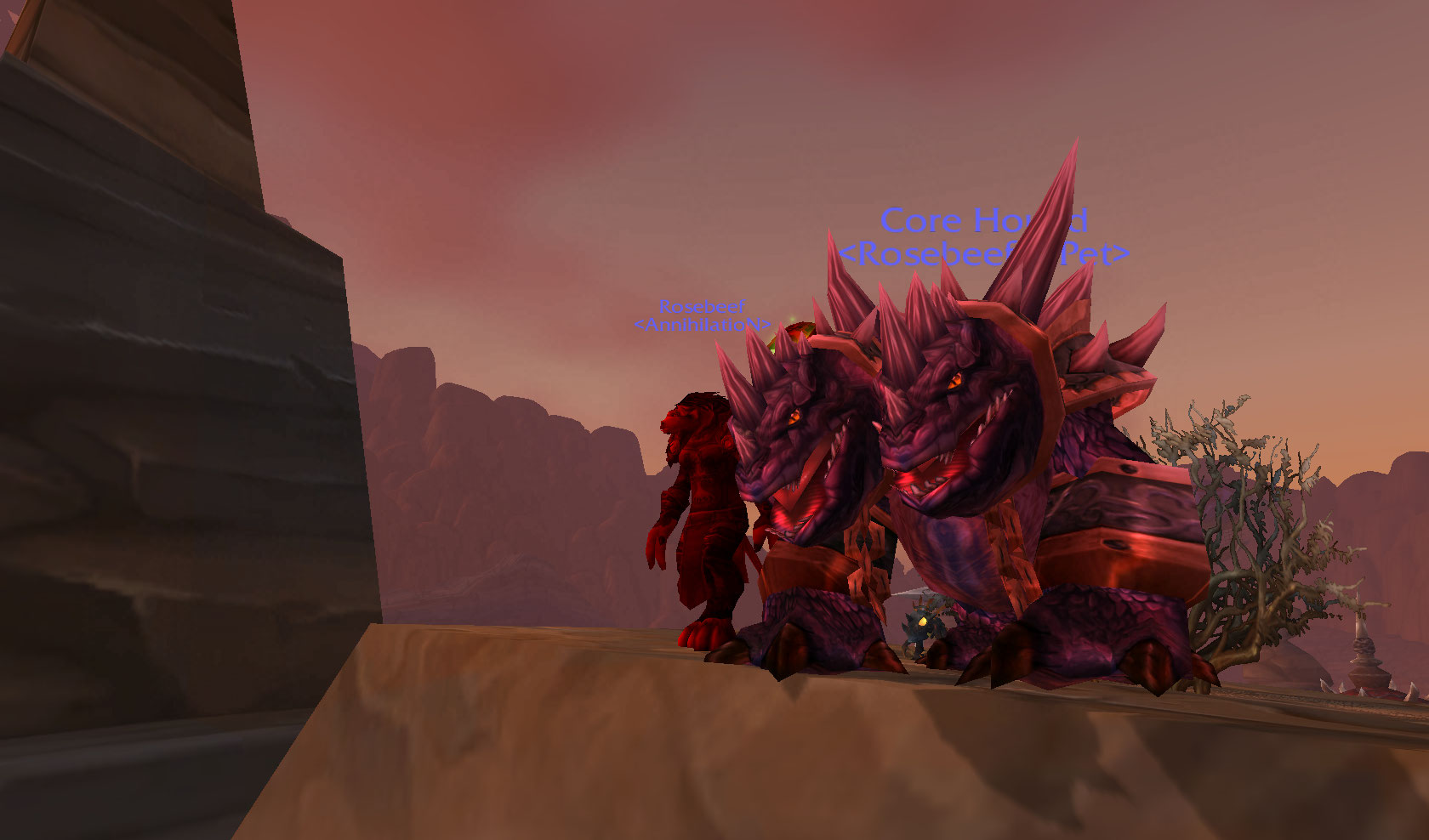 WoWScrnShot_050111_185542.jpg