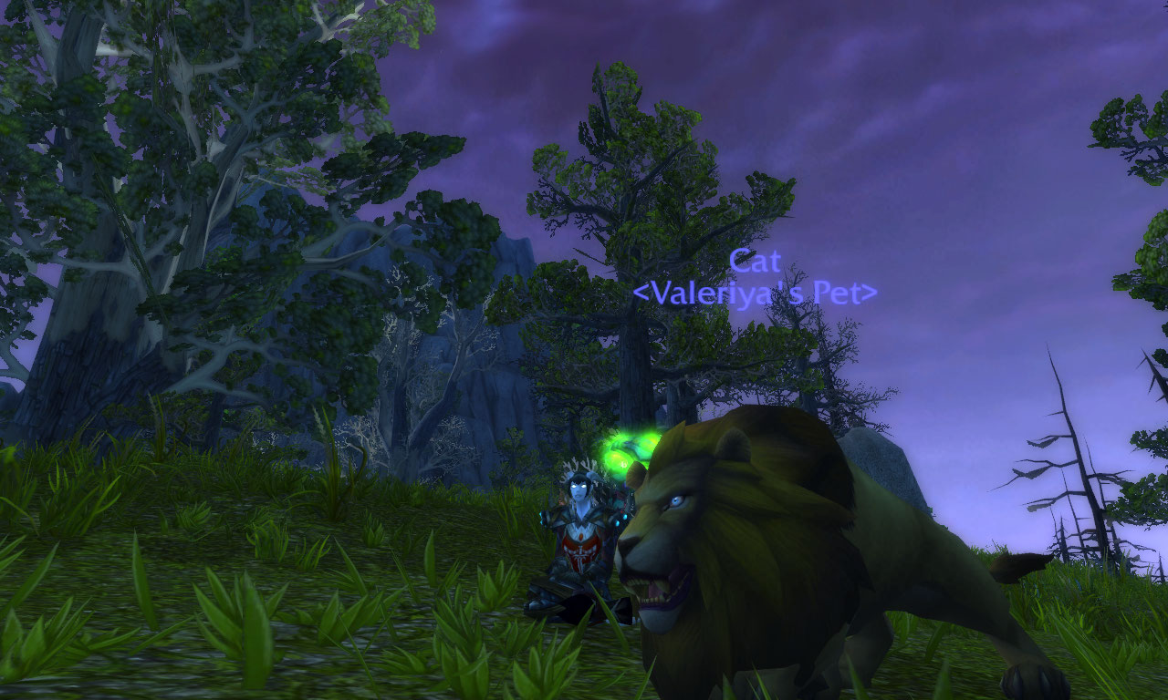 WoWScrnShot_050511_093430.jpg