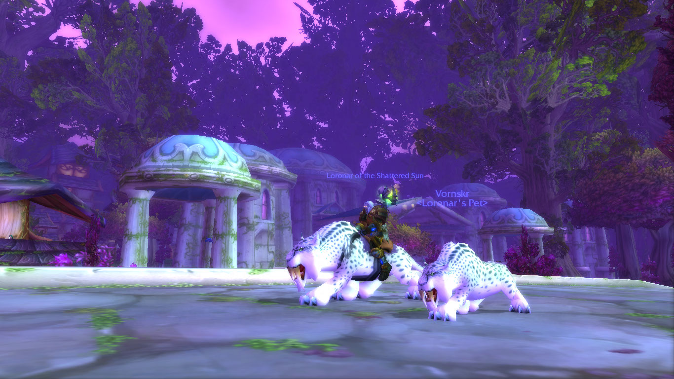 WoWScrnShot_050611_001113.jpg