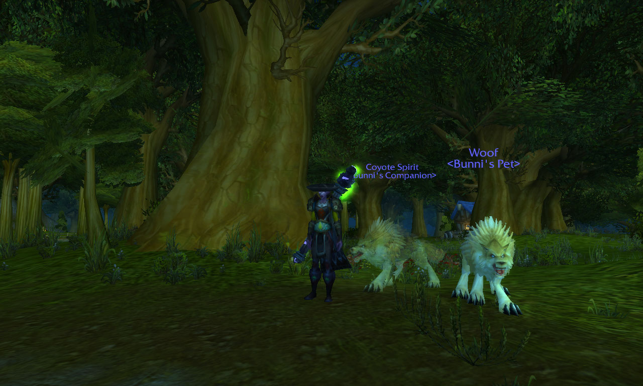 WoWScrnShot_051211_215123.jpg