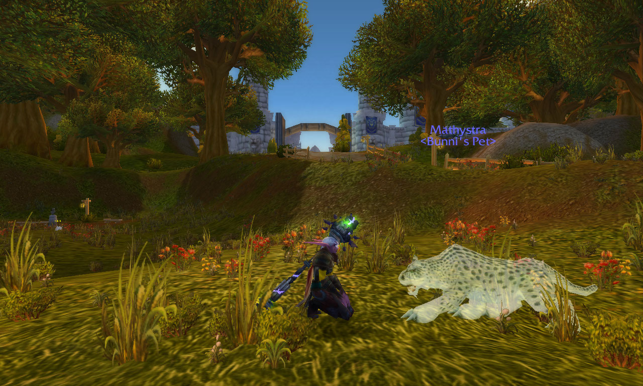 WoWScrnShot_051511_151914.jpg