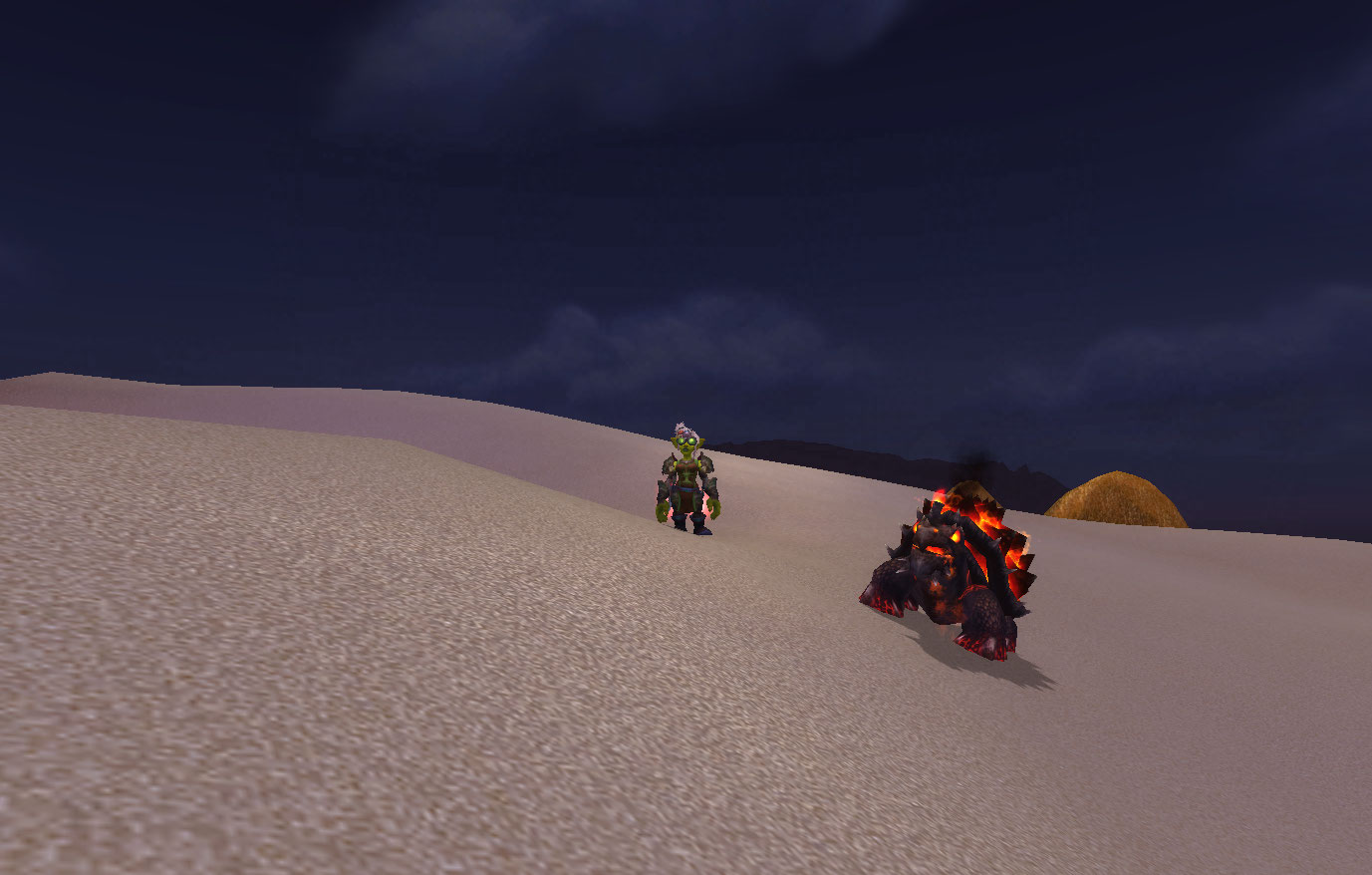 me and my newly tamed fire turtle :)