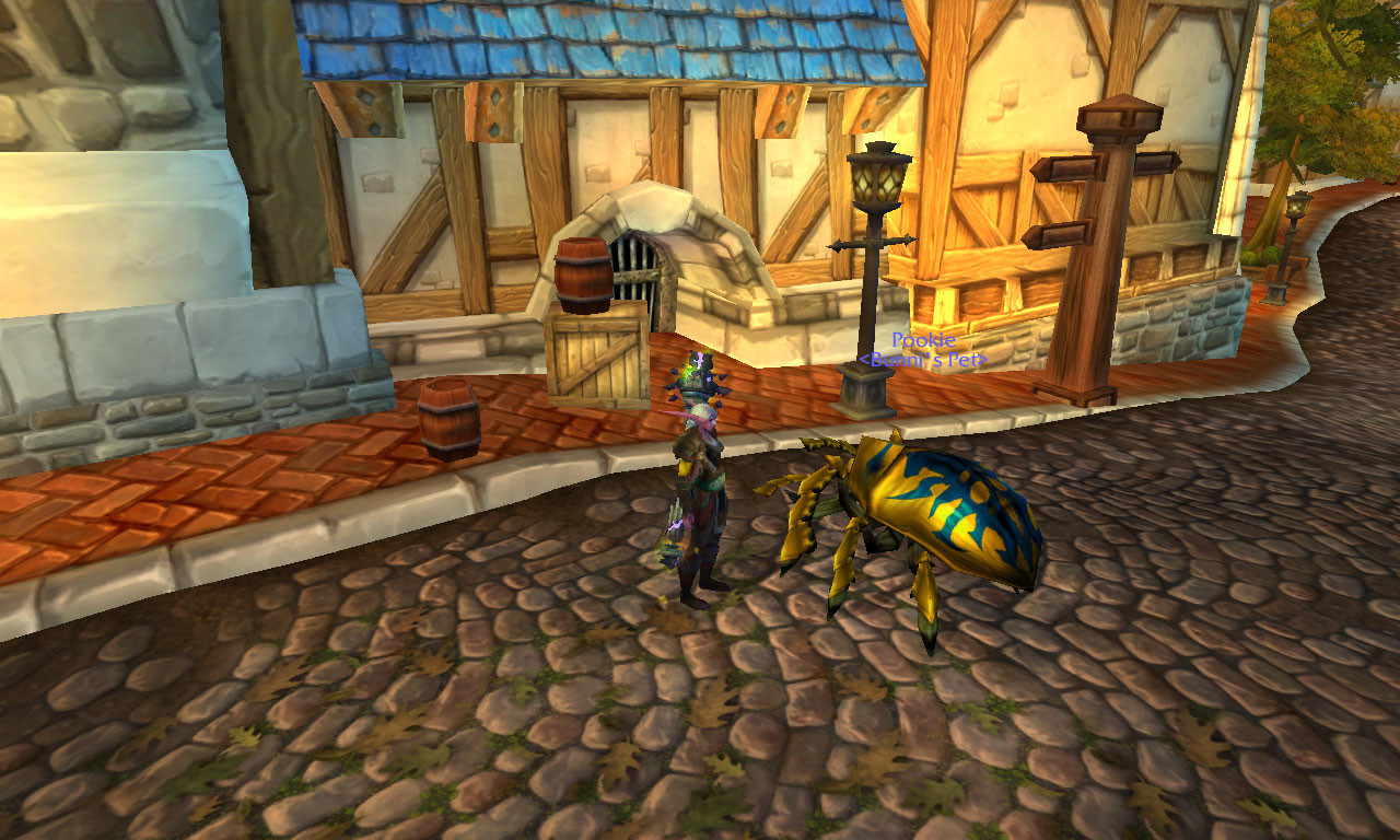 WoWScrnShot_052611_143557.jpg