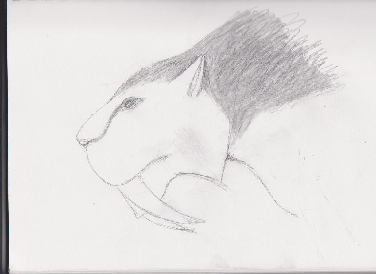 sketch.jpg