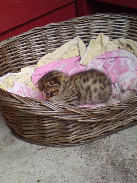 Aw, don't look at me