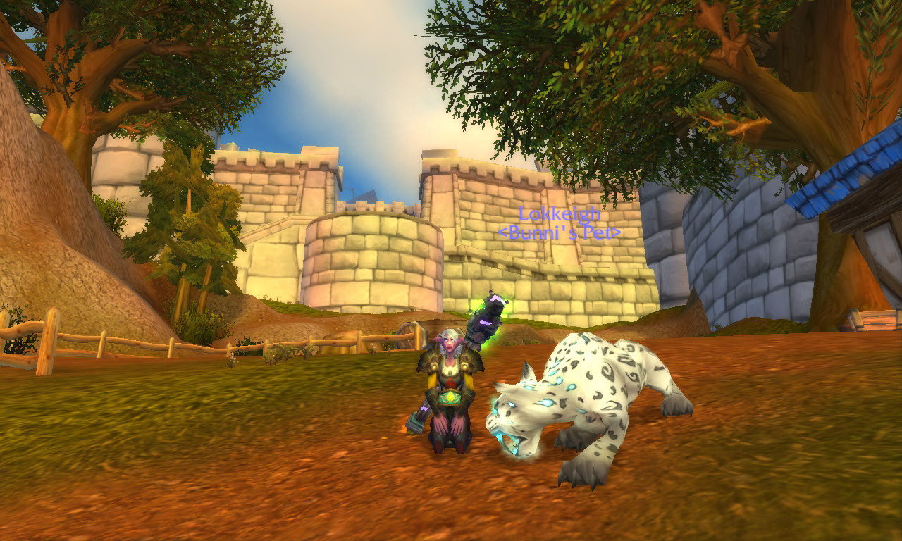 WoWScrnShot_060611_145116.jpg