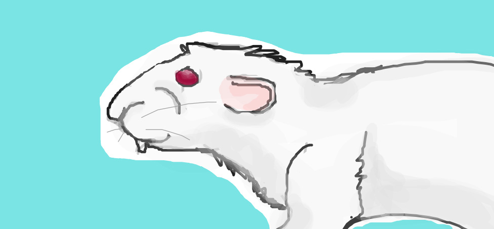 Whiskers the Rat.jpg