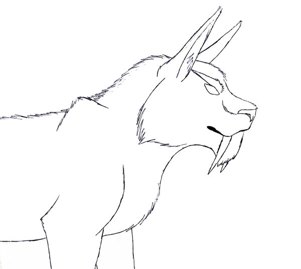 Druid_Cat_Form.jpg